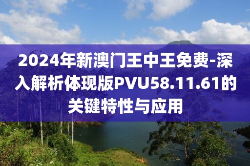 2024年新澳门王中王免费-深入解析体现版PVU58.11.61的关键特性与应用