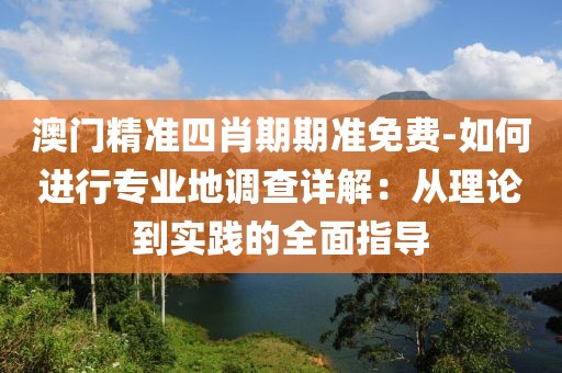 澳门精准四肖期期准免费-如何进行专业地调查详解：从理论到实践的全面指导