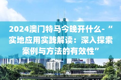 2024澳门特马今晚开什么-“实地应用实践解读：深入探索案例与方法的有效性”