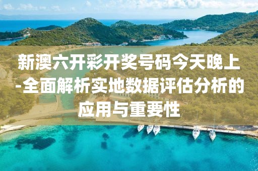 新澳六开彩开奖号码今天晚上-全面解析实地数据评估分析的应用与重要性