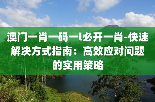 澳门一肖一码一l必开一肖-快速解决方式指南：高效应对问题的实用策略