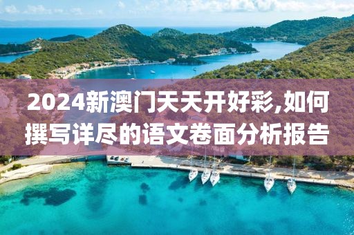 2024新澳门天天开好彩,如何撰写详尽的语文卷面分析报告