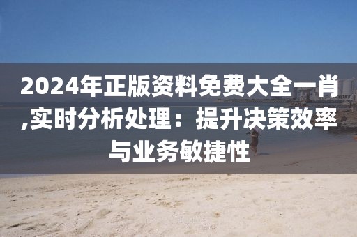 2024年正版资料免费大全一肖,实时分析处理：提升决策效率与业务敏捷性