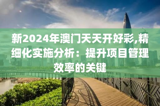 新2024年澳门天天开好彩,精细化实施分析：提升项目管理效率的关键