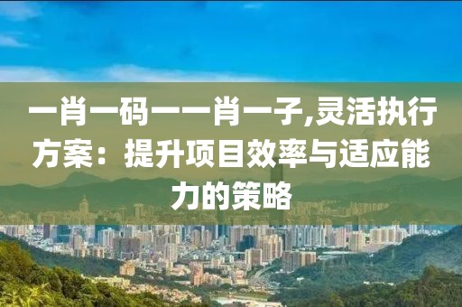 一肖一码一一肖一子,灵活执行方案：提升项目效率与适应能力的策略