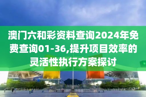 澳门六和彩资料查询2024年免费查询01-36,提升项目效率的灵活性执行方案探讨