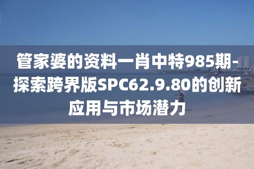 管家婆的资料一肖中特985期-探索跨界版SPC62.9.80的创新应用与市场潜力