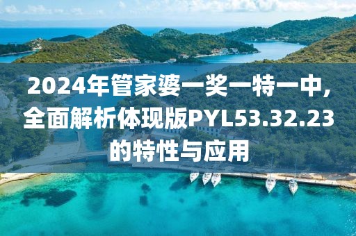 2024年管家婆一奖一特一中,全面解析体现版PYL53.32.23的特性与应用