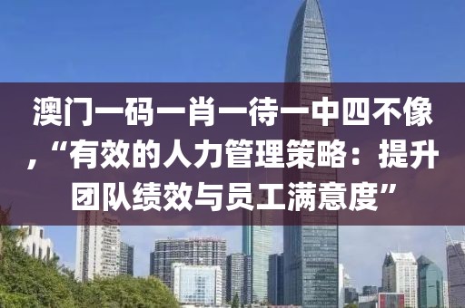 澳门一码一肖一待一中四不像,“有效的人力管理策略：提升团队绩效与员工满意度”