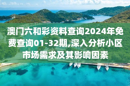 澳门六和彩资料查询2024年免费查询01-32期,深入分析小区市场需求及其影响因素