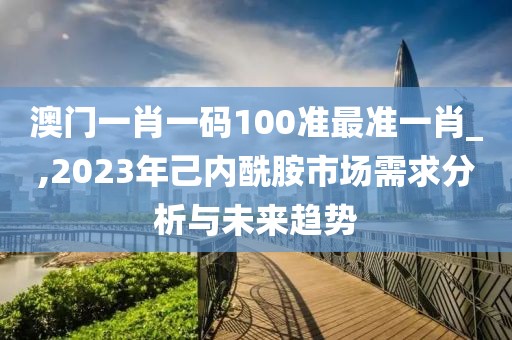 澳门一肖一码100准最准一肖_,2023年己内酰胺市场需求分析与未来趋势