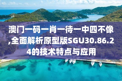 澳门一码一肖一待一中四不像,全面解析原型版SGU30.86.24的技术特点与应用