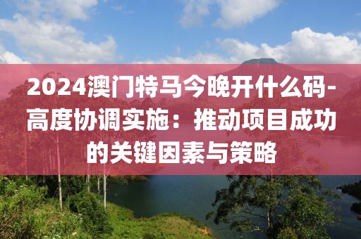 2024澳门特马今晚开什么码-高度协调实施：推动项目成功的关键因素与策略