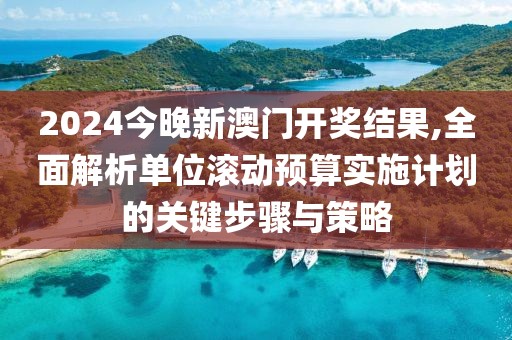 2024今晚新澳门开奖结果,全面解析单位滚动预算实施计划的关键步骤与策略