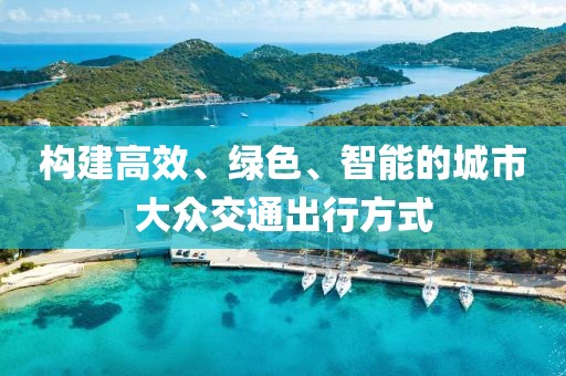 构建高效、绿色、智能的城市大众交通出行方式