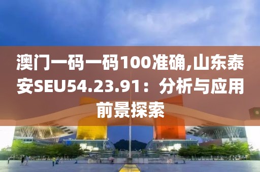 澳门一码一码100准确,山东泰安SEU54.23.91：分析与应用前景探索