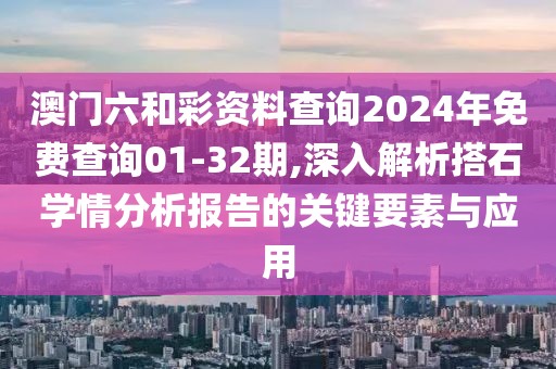 澳门六和彩资料查询2024年免费查询01-32期,深入解析搭石学情分析报告的关键要素与应用