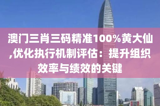 澳门三肖三码精准100%黄大仙,优化执行机制评估：提升组织效率与绩效的关键