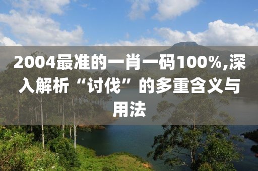 2004最准的一肖一码100%,深入解析“讨伐”的多重含义与用法