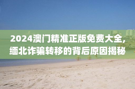 2024澳门精准正版免费大全,缅北诈骗转移的背后原因揭秘