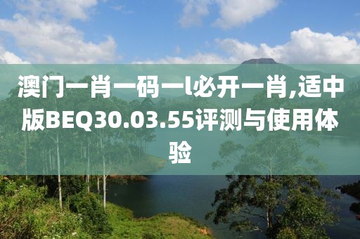 澳门一肖一码一l必开一肖,适中版BEQ30.03.55评测与使用体验