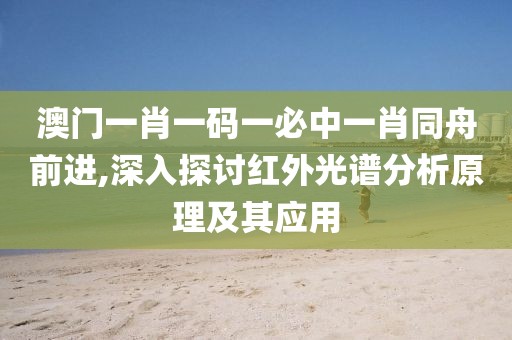 澳门一肖一码一必中一肖同舟前进,深入探讨红外光谱分析原理及其应用