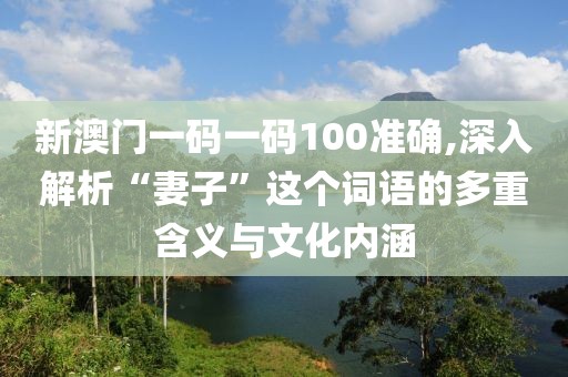 新澳门一码一码100准确,深入解析“妻子”这个词语的多重含义与文化内涵