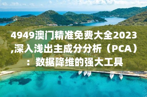 4949澳门精准免费大全2023,深入浅出主成分分析（PCA）：数据降维的强大工具