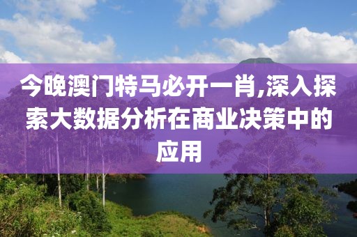 今晚澳门特马必开一肖,深入探索大数据分析在商业决策中的应用