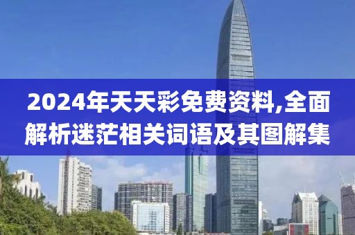 2024年天天彩免费资料,全面解析迷茫相关词语及其图解集