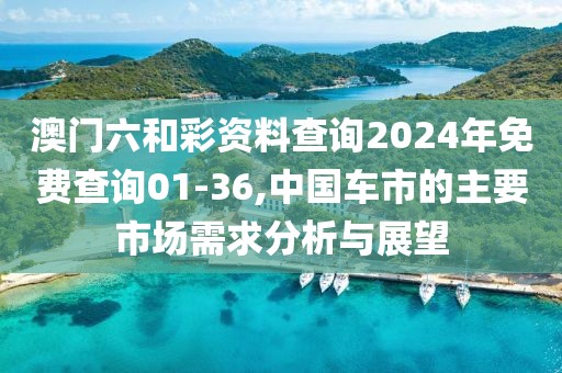 澳门六和彩资料查询2024年免费查询01-36,中国车市的主要市场需求分析与展望