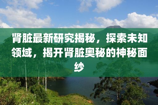 肾脏最新研究揭秘，探索未知领域，揭开肾脏奥秘的神秘面纱