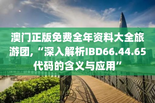 澳门正版免费全年资料大全旅游团,“深入解析IBD66.44.65代码的含义与应用”