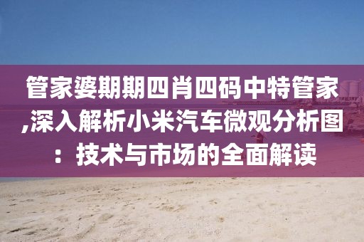 管家婆期期四肖四码中特管家,深入解析小米汽车微观分析图：技术与市场的全面解读