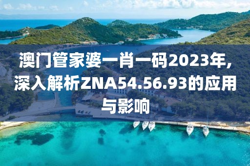 澳门管家婆一肖一码2023年,深入解析ZNA54.56.93的应用与影响