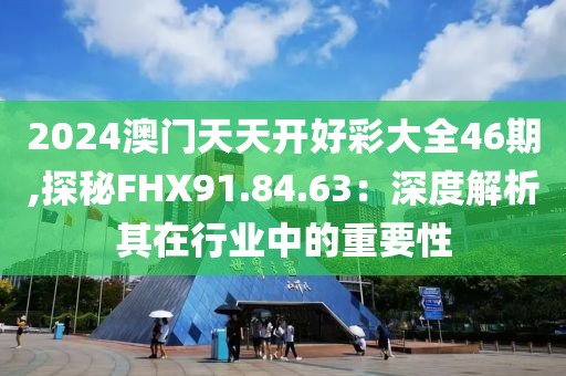 2024澳门天天开好彩大全46期,探秘FHX91.84.63：深度解析其在行业中的重要性