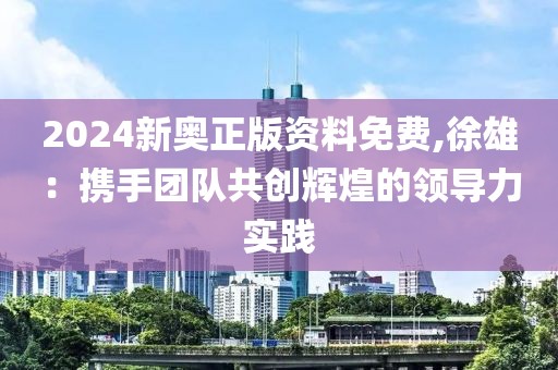 2024新奥正版资料免费,徐雄：携手团队共创辉煌的领导力实践