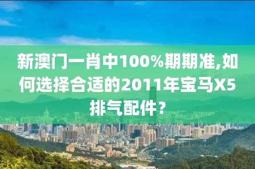 新澳门一肖中100%期期准,如何选择合适的2011年宝马X5排气配件？