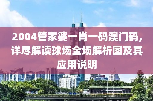 2004管家婆一肖一码澳门码,详尽解读球场全场解析图及其应用说明