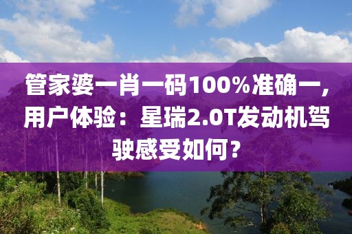 管家婆一肖一码100%准确一,用户体验：星瑞2.0T发动机驾驶感受如何？