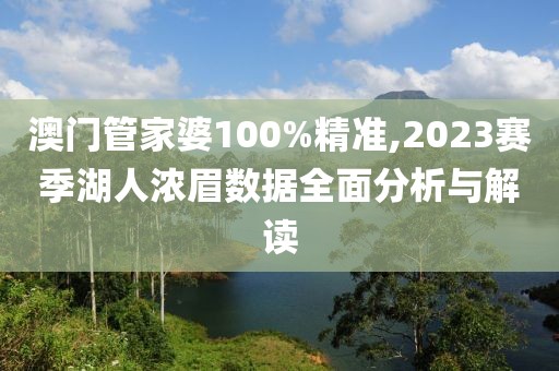 澳门管家婆100%精准,2023赛季湖人浓眉数据全面分析与解读