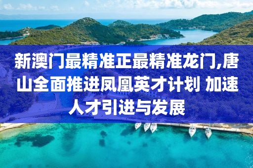 新澳门最精准正最精准龙门,唐山全面推进凤凰英才计划 加速人才引进与发展