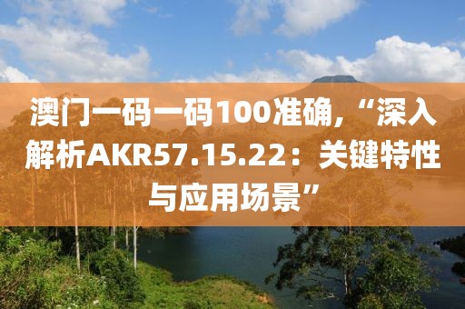 澳门一码一码100准确,“深入解析AKR57.15.22：关键特性与应用场景”