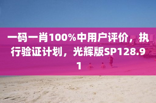 一码一肖100%中用户评价，执行验证计划，光辉版SP128.91