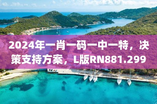 2024年一肖一码一中一特，决策支持方案，L版RN881.299