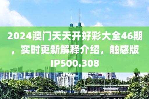 2024澳门天天开好彩大全46期，实时更新解释介绍，触感版IP500.308