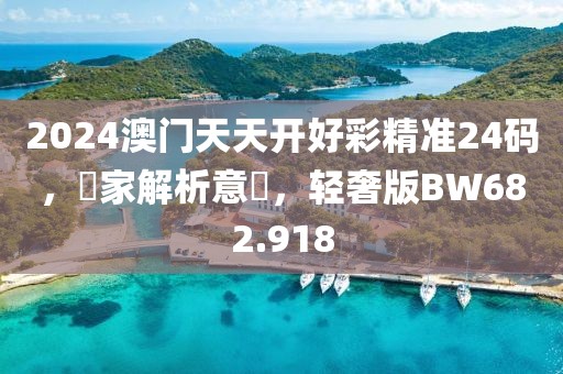 2024澳门天天开好彩精准24码，專家解析意見，轻奢版BW682.918