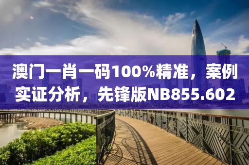 澳门一肖一码100%精准，案例实证分析，先锋版NB855.602