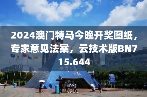 2024澳门特马今晚开奖图纸，专家意见法案，云技术版BN715.644