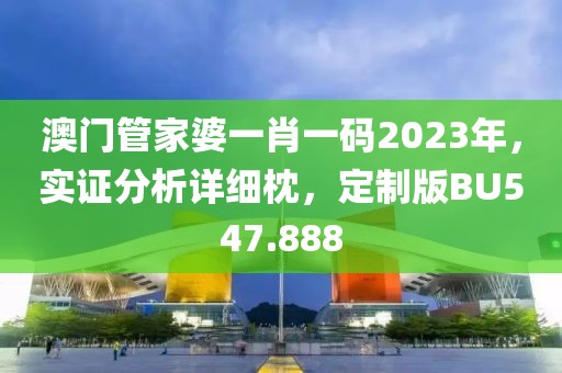 澳门管家婆一肖一码2023年，实证分析详细枕，定制版BU547.888